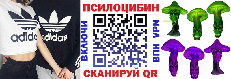 Псилоцибиновые грибы MAGIC MUSHROOMS  магазин  наркотиков  гидра ССЫЛКА  Ейск 