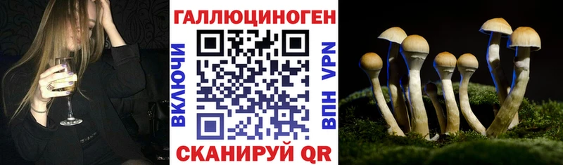 Галлюциногенные грибы прущие грибы Ейск